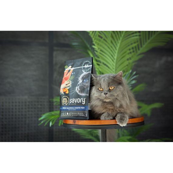 Корм сухий Savory Adult Cat Gourmand Fresh Salmon and White Fish для дорослих котів зі свіжим лососем і білою рибою 400 г | Зображення 3