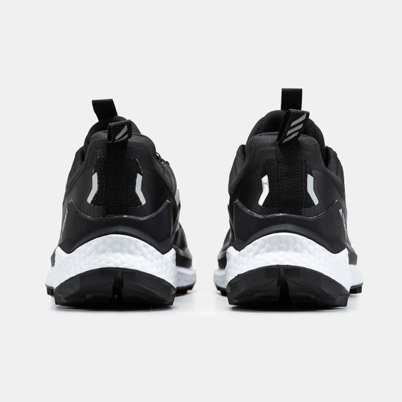 Чоловічі кросівки Terrex Free Hiker 2.0 Gore-Tex весна / осінь єврозима (Goer- Tax) 1819 42 | Зображення 1