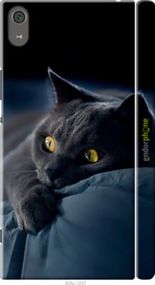 Чохол на Sony Xperia XA1 Ultra G3212 Димчастий кіт "825m-1237-2448"