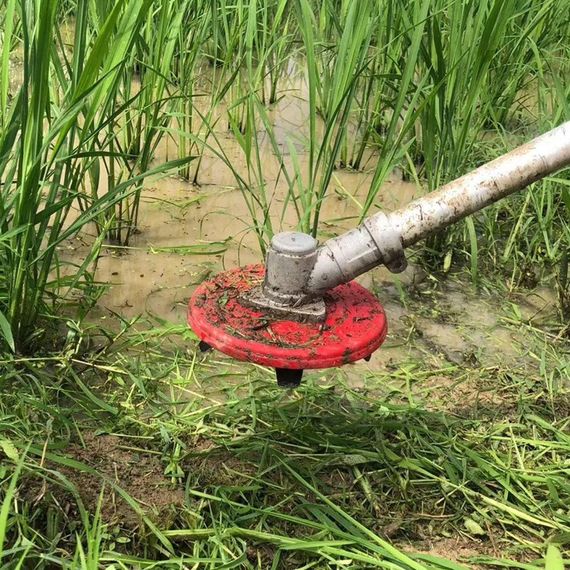 Насадка разрыхлитель грунта для мотокосы 150 мм, 5 лезвий / Диск для прополки / Нож для бензокосы | Зображення 5