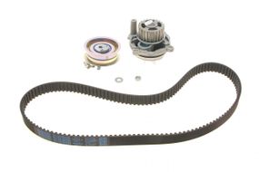 Комплект ГРМ + помпа Audi A3 A4 Seat Ibiza Skoda Octavia VW Caddy Golf Passat 1.6 95- 138x23 PA904  KP904-1