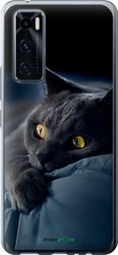 Чохол на Vivo V20 SE Димчастий кіт "825u-2128-2448"