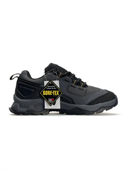 Чоловічі кросівки Salomon Quest M Element Gtx Grey 42 | Зображення 1