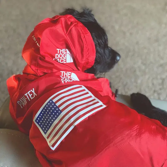 Куртка ветровка с тонкой подкладкой водонепроницаемая the dog face для собак красная XL размер | Зображення 6