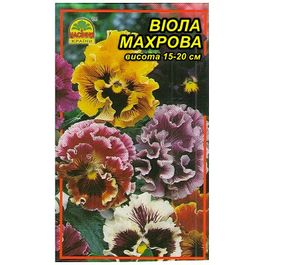 Насіння Віола махрова Рокко 20 шт. (Насіння країни)