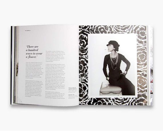 Книга о моде и стиле Chanel: Collections and Creations. Daniele Bott лучшие книги о дизайнерах и модных домах | Зображення 4
