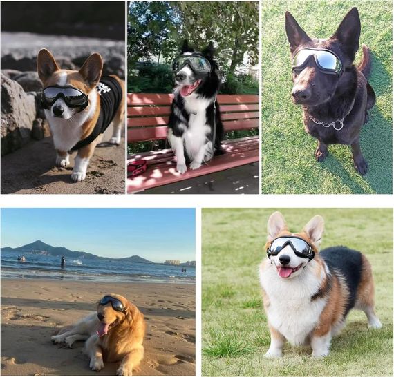 Захисні окуляри для собак з УФ-захистом, регульовані, вітрозахисні, водонепроникні, проти запотівання, для великих порід | Зображення 6