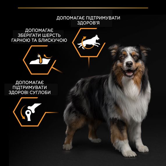 Сухой корм для собак средних пород с курицей Purina Pro Plan Dog Adult Medium Everyday Nutrition 3 кг | Зображення 4