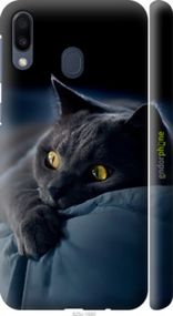 Чохол на Samsung Galaxy M20 Димчастий кіт "825m-1660-2448"