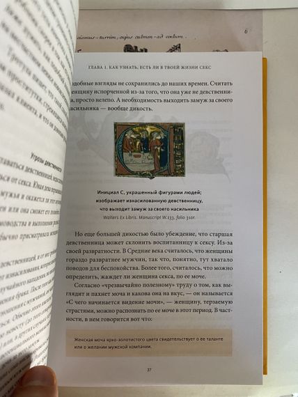 Интимное Средневековье. Истории о страсти и целомудрии, поясах верности и приворотных снадобьях (МИФ) | Зображення 1