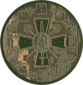 Шеврон Зимнии виды спорта (пришивной)