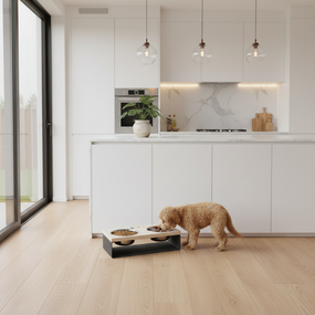 Миски на подставке из цельного металлического листа для собак и котов Hollky SteelWood S (2 × 0,45 л) SWS-36188-BLWH