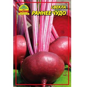 Насіння буряка Раннє диво - 4 г