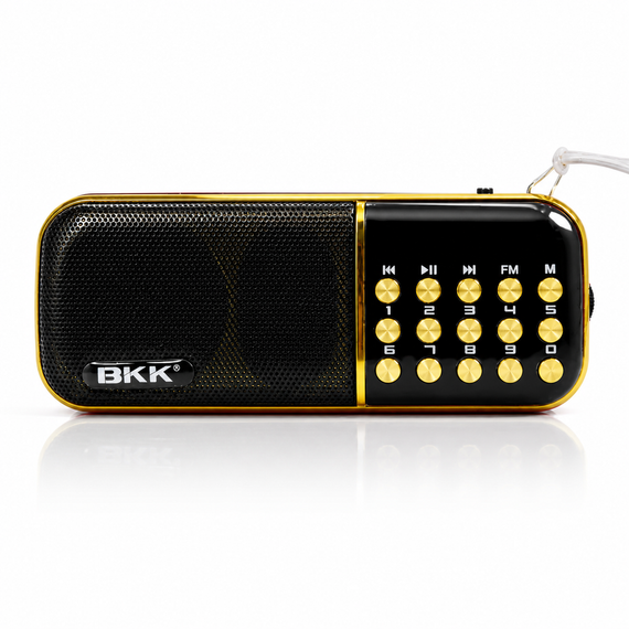 Портативный FM-радиоприемник колонка с цифровым тюнером BKK USB/MP3 B851 | Зображення 1