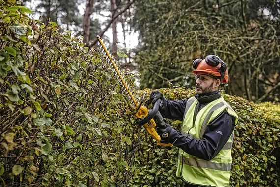 Кущоріз акумуляторний ніж 55мм DeWALT DCMHT563P1 | Зображення 5
