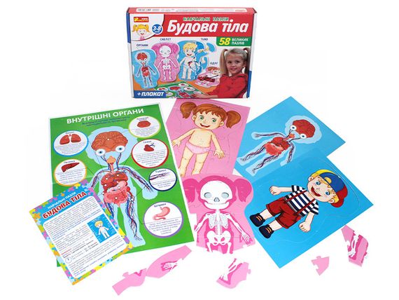 Пазл Будова тіла | Зображення 1