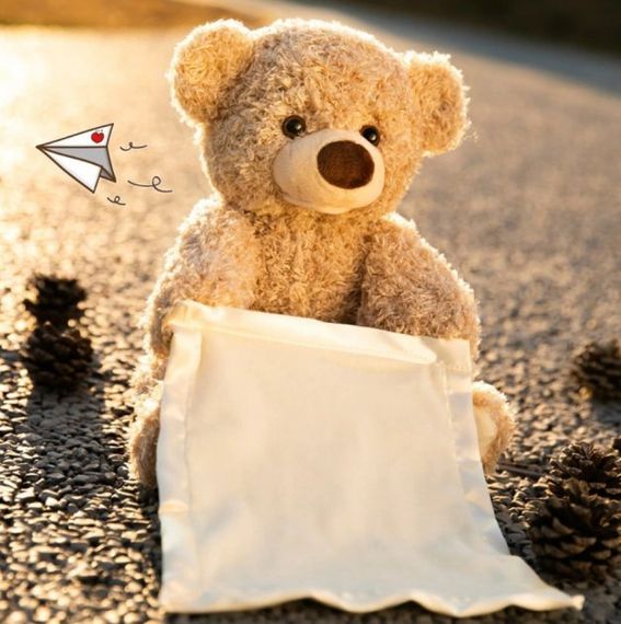 Интерактивная игрушка говорящий Мишка Пикабу Peekaboo Bear | Зображення 3