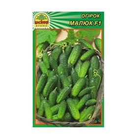 Насіння огірка Малюк F1 15 шт. (Насіння країни)