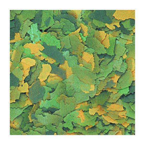 Корм Tropical Bio-Vit для травоїдних акваріумних риб пластівці 4 кг | Зображення 1