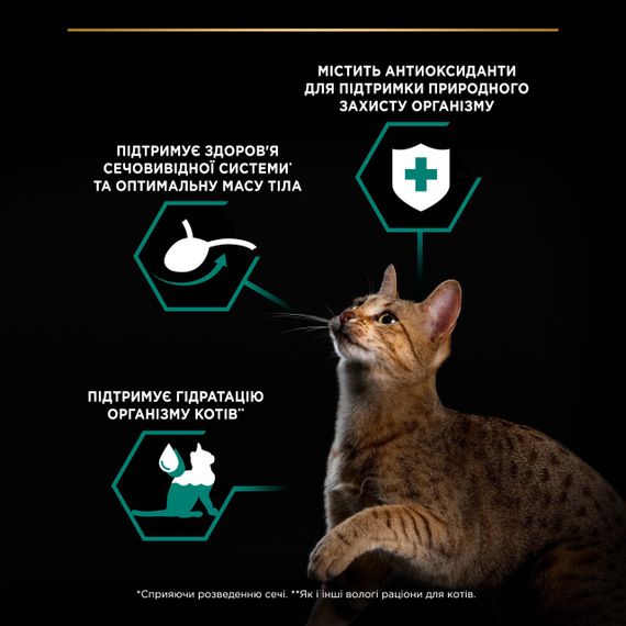Набір вологого корму для котів з яловичиною та куркою Purina Pro Plan Sterilised 85 гр х 10 шт | Зображення 4