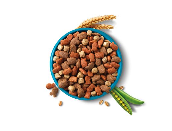 Сухой корм с рыбой для собак Brekkies Dog Fish, 20 кг | Зображення 2