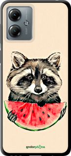 Чохол на Motorola Moto G14 Єнотик з кавуном "4605b-3197-2448"