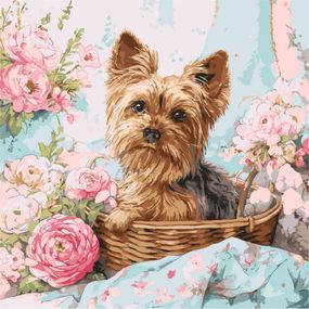 Картина за номерами "Йорк в кошику" ©art_selena_ua KHO6797, 40х40 см