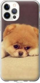 Чохол для Apple iPhone 12 з пластику FCh_037157