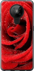 Чехол на Nokia 5.3 Красная роза "529u-2102-17620"