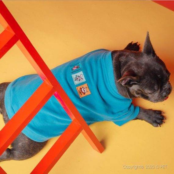 Толстовка для собак Is Pet FAMILY LOOK "Кошки Мышки" синий | Зображення 3