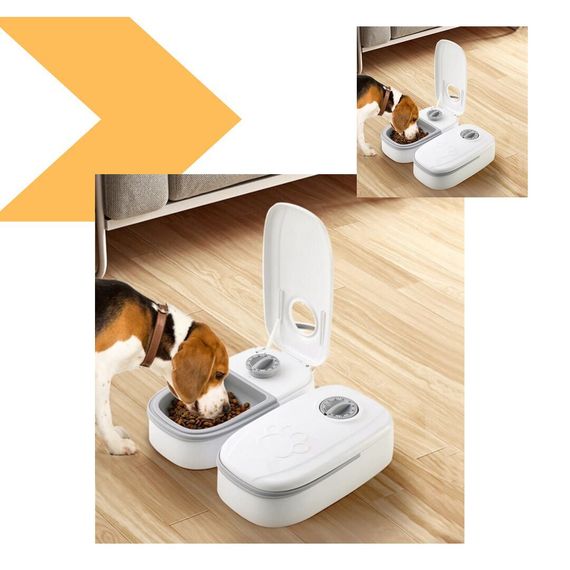 Автоматична кормушка з програмуванням до 4 годувань на день XPRO MA-6-24 (MER-15433_454) | Зображення 1