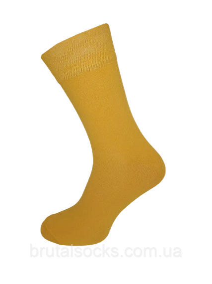 Шкарпетки чоловічі довгі кольорові демісезонні р.41-43 ТМ Twinsocks | Зображення 8