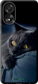 Чохол на Oppo A38 4G Димчастий кіт "825b-3337-2448"