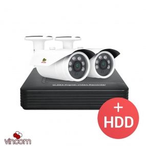 Комплект видеонаблюдения Partizan PRO AHD-42 2xCAM  1xDVR  HDD