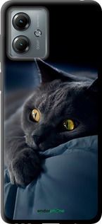 Чохол на Motorola Moto G14 Димчастий кіт "825b-3197-2448"