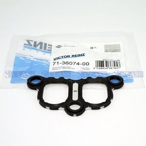 Прокладка впускного коллектора 2/3-й цилиндр VW T5 2.5 TDI (мот.AXD) 03-, Victor Reinz, 71-36074-00,