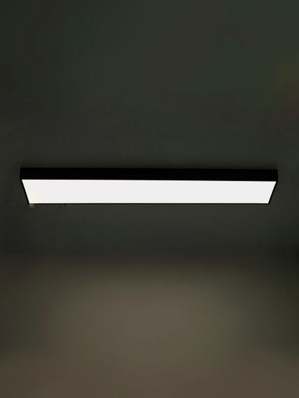 FLF-100/40W NW BK світильник підвісний | Зображення 1