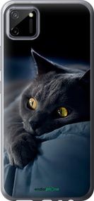 Чохол на Realme C11 2020 Димчастий кіт "825t-2031-2448"