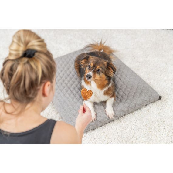 Ласощі Trixie PREMIO Lolly with chicken and rice, bulk для котів  PREMIO Льодяник з куркою та рисом, ваговий, 10 см, 35 г_30 | Зображення 3