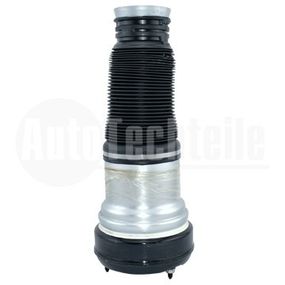 Пневмоподушка Mercedes Benz W220 98-05, AutoTechteile, 110 3251, 100 3141
