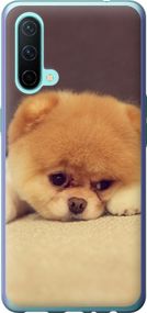 Чехол на OnePlus Nord CE Boo 2 "890u-2382-17620"