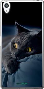 Чохол на Sony Xperia Z5 Premium E6883 Димчастий кіт "825t-345-2448"