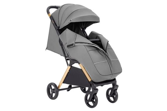 Коляска прогулянкова CRL-5523 "Cross" Owl Grey CARRELLO | Зображення 1