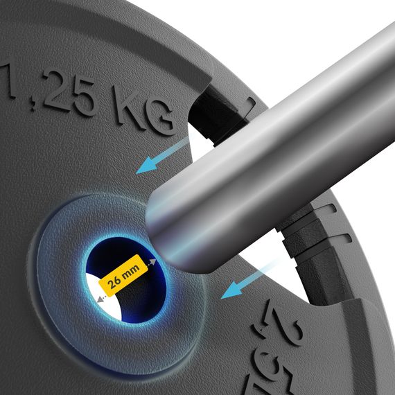 Диск металевий 4FIZJO 2 x 1.25 кг 26 мм Black (P-5905973401357) | Зображення 1