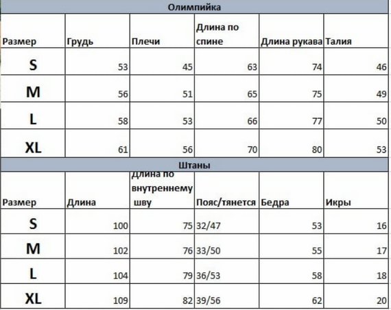 Мужской спортивный костюм двухцветный SE0002 цвет синий, размер L | Зображення 1