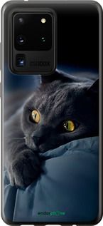 Чохол на Samsung Galaxy S20 Ultra Димчастий кіт "825t-1831-2448"
