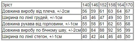 Костюм для хлопчика (підлітковий) Носи своє 152 Блакитний (p-14036-172689) | Зображення 4