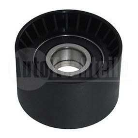 Ролик натяжной Mercedes Benz W164 W221 W251 W463 OM642  05-17, AutoTechteile, 110 2004, 33463