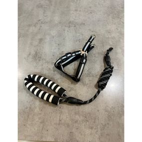 Шлея для собак со светоотражающими полосками, с поводком, черный