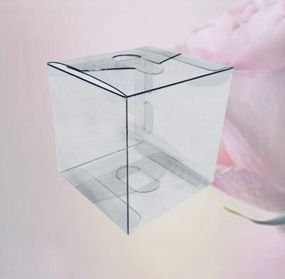 Коробка высечка 80*80*80 Пластик пищевой прозрачный